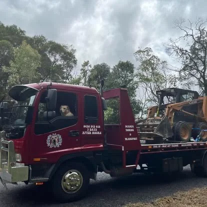 Mini excavator on red tow truck with Scamp in cab, rainforest background